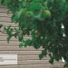 Сайдинг Ю-Пласт TIMBERBLOCK Пихта (Тимберблок) Cахалинская купить в Октябрьском